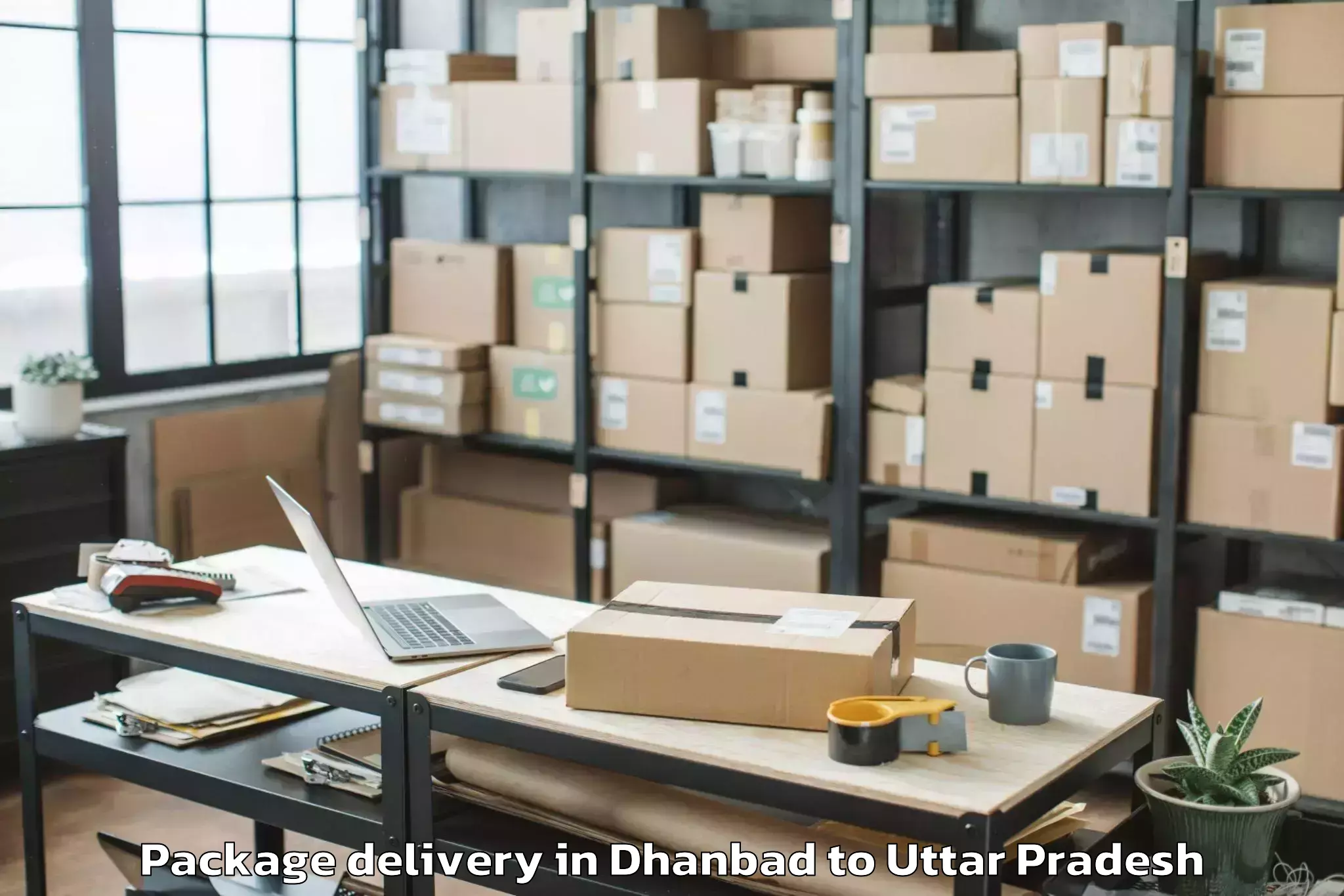 Dhanbad to Rani Lakshmi Bai Central Agric Package Delivery